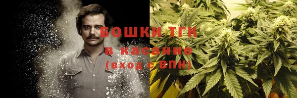 ешки Аркадак