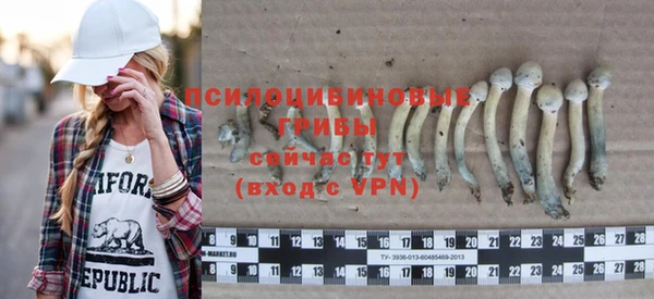 apvp Балахна